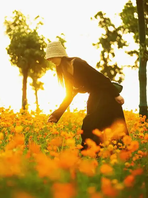 用心灵感触美景用镜头记录光影光线可以制造氛围亦可烘托影调这组逆光