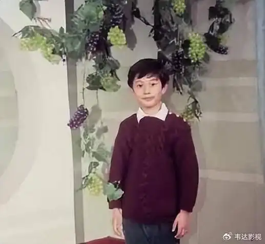 二,明星黄晓明的养成