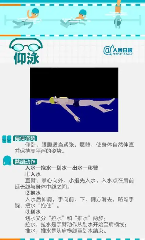 四种泳姿动画分解演示↓↓转给想学游泳的t