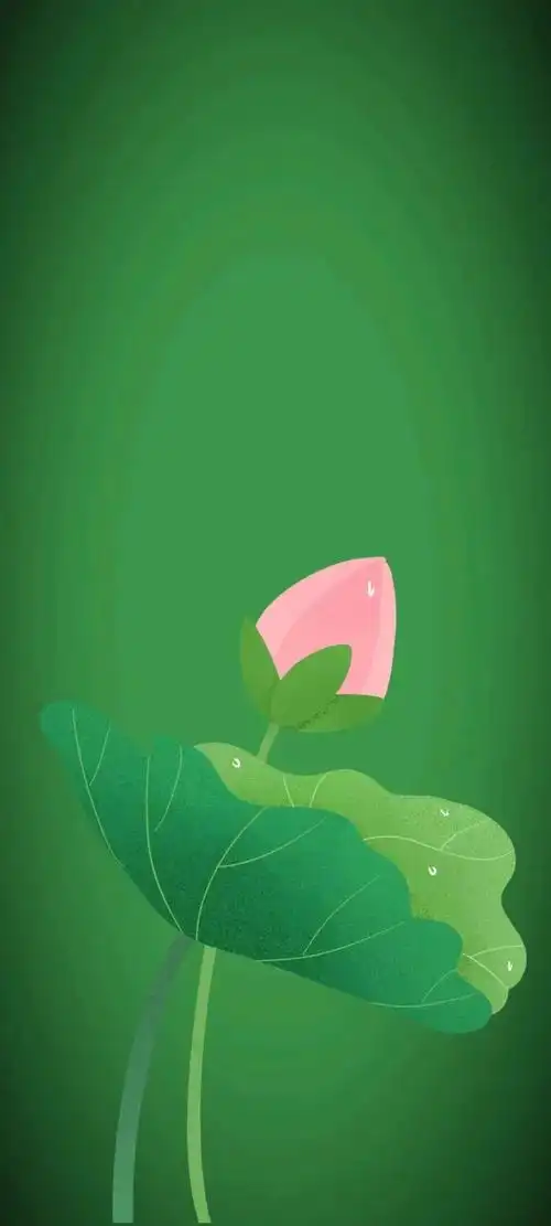 清新绿色护眼荷花壁纸