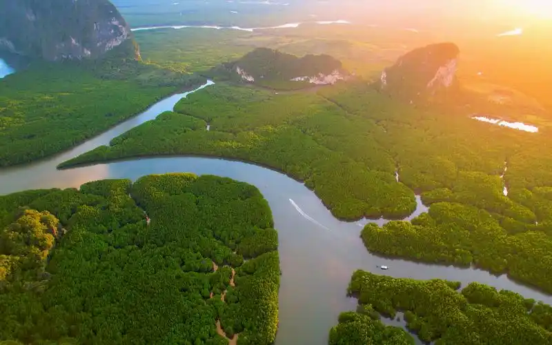 8k 红树林栖息地