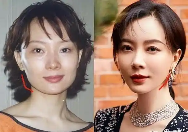 陈数,入行23年零绯闻,拒绝富豪5次求婚,嫁2婚丈夫结婚8年没娃