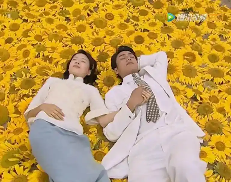 金粉世家电视剧结局凄凉但远远比原著结局美丽封控下看这本书让人更加