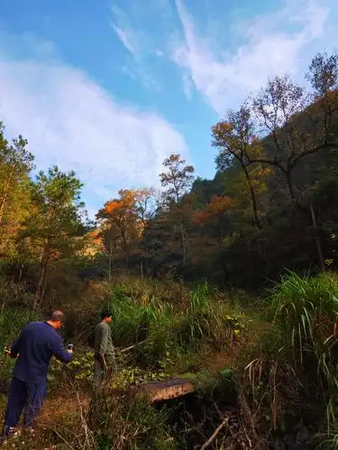 卧在深山水云间/南浦溪红枫古道记