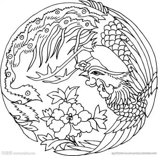 好难得才配的这么多白描凤凰图!喜欢的建议收藏 !