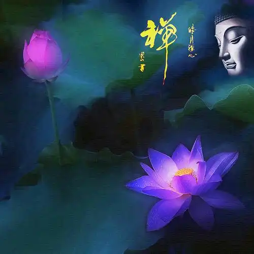 六月荷···花开见佛