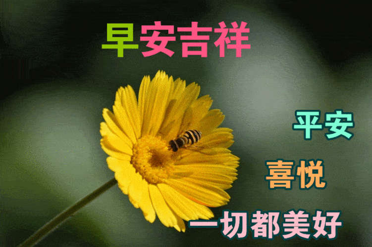 2021新版朋友圈早晨好图片祝福1月份新版早晨好表情好带图片