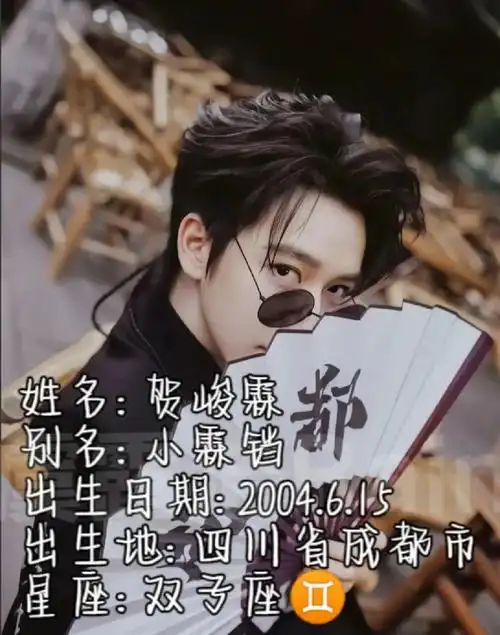 姓名:贺峻霖在其他平台发布 别名:小霖铛 出生日期:2004