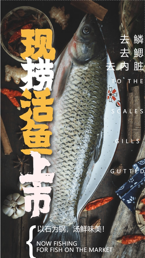 现捞活鱼上市摄影图海报