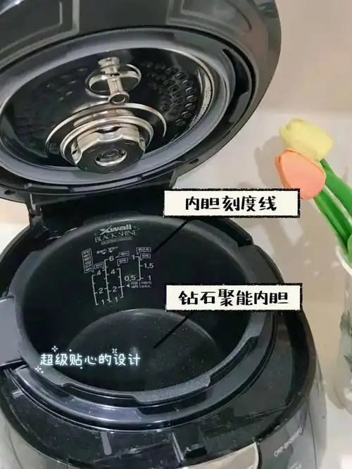 关于电饭煲评测发现