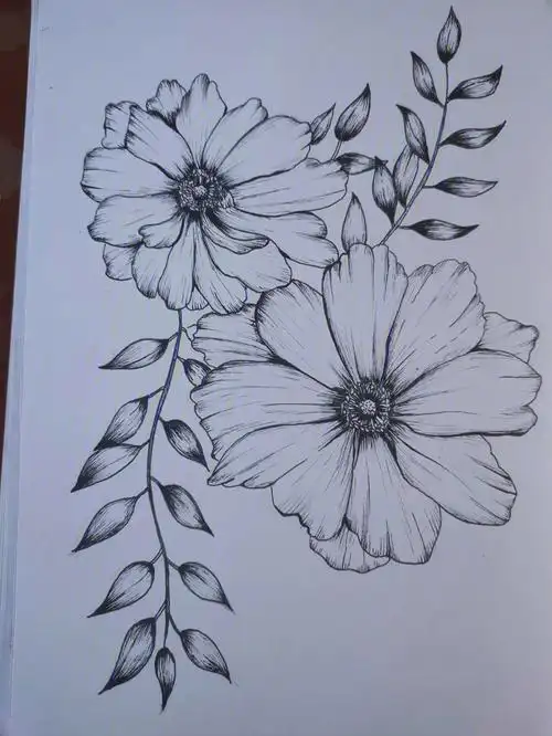 线描花卉针管笔