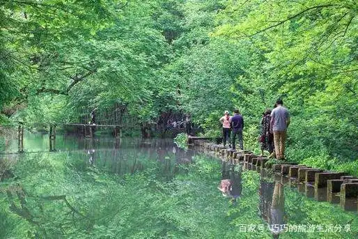 附近50公里内的景点(邢台附近50公里内的景点)