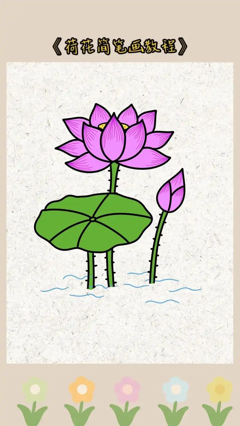 《荷花简笔画教程》快来和柚子老师一起画美丽又简单的荷花简笔画