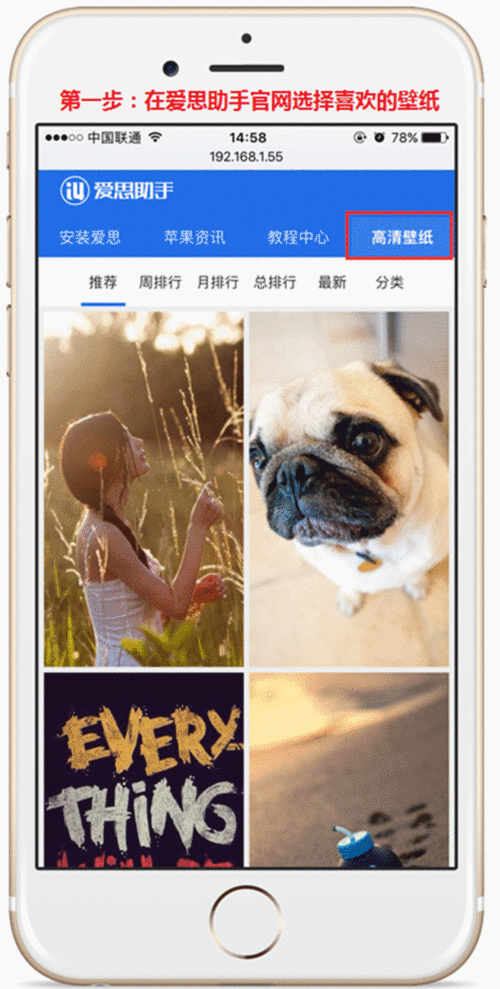 一张图教您如何在iphone7上设置壁纸