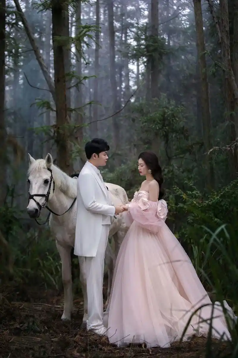 南昌婚纱照森系唯美浪漫公主和白马王子婚纱照