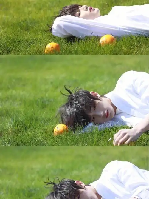 分享壁纸tnt少年与花