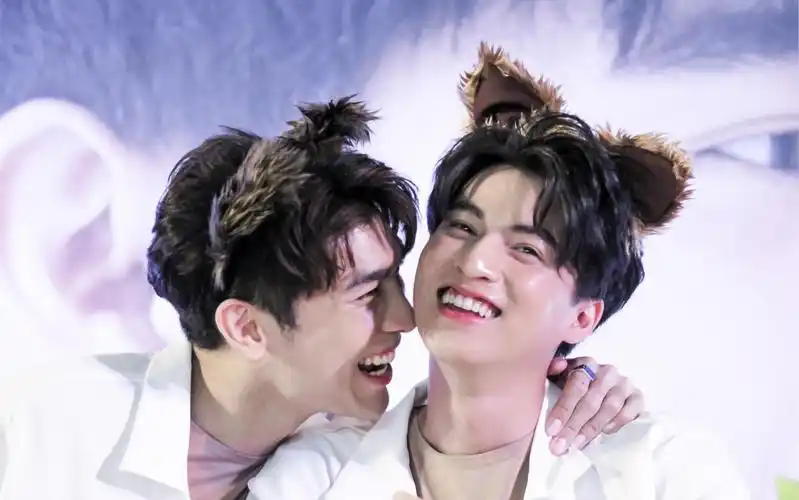 mewgulf未解之谜 mewgulf最近发生了什么