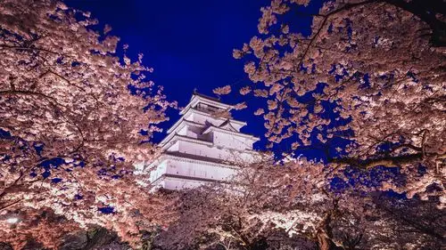 电脑壁纸 人文 名胜古迹 日本东京浅草寺唯美风光