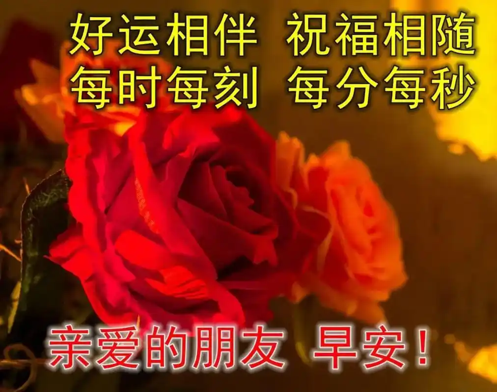 早上好精选唯美祝福图片,最美早安问候语图片带字温馨