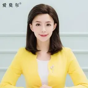 新品爱莫尔 新闻联播上镜主持人假发女全头套 播音员偏分主播长直