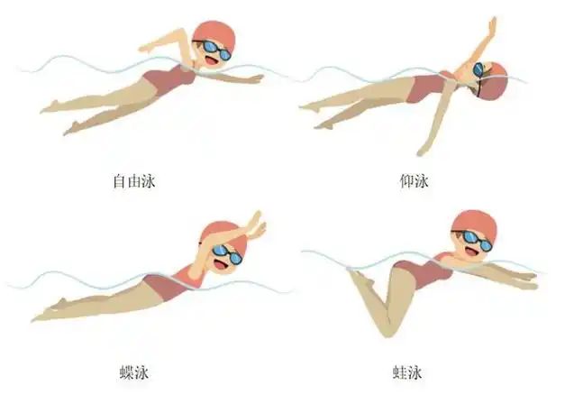 首先,自由泳能够更好地锻炼颈部肌肉和韧带,比较适合不存在颈椎疾病的