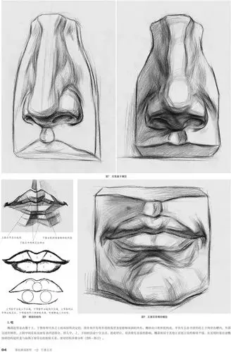 基础素描教程.石膏五官 基础入门学习石膏五官的素描表现技法