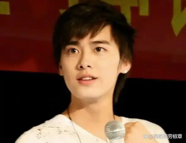 才9年何炅选的栀子花四帅凉了俩四美的差距这么大了