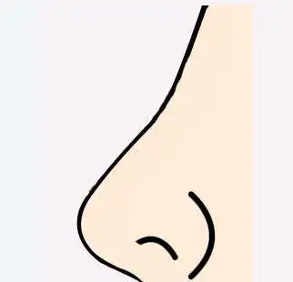 偷瞄的简笔画鼻子简笔画鼻子简笔画鼻子简笔画 鼻子的画法鼻子最简笔