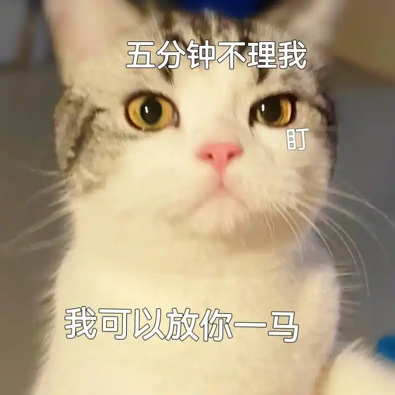 我也是有脾气的#猫咪表情包#艾特你想艾特的人 #表情包 #艾 - 抖音