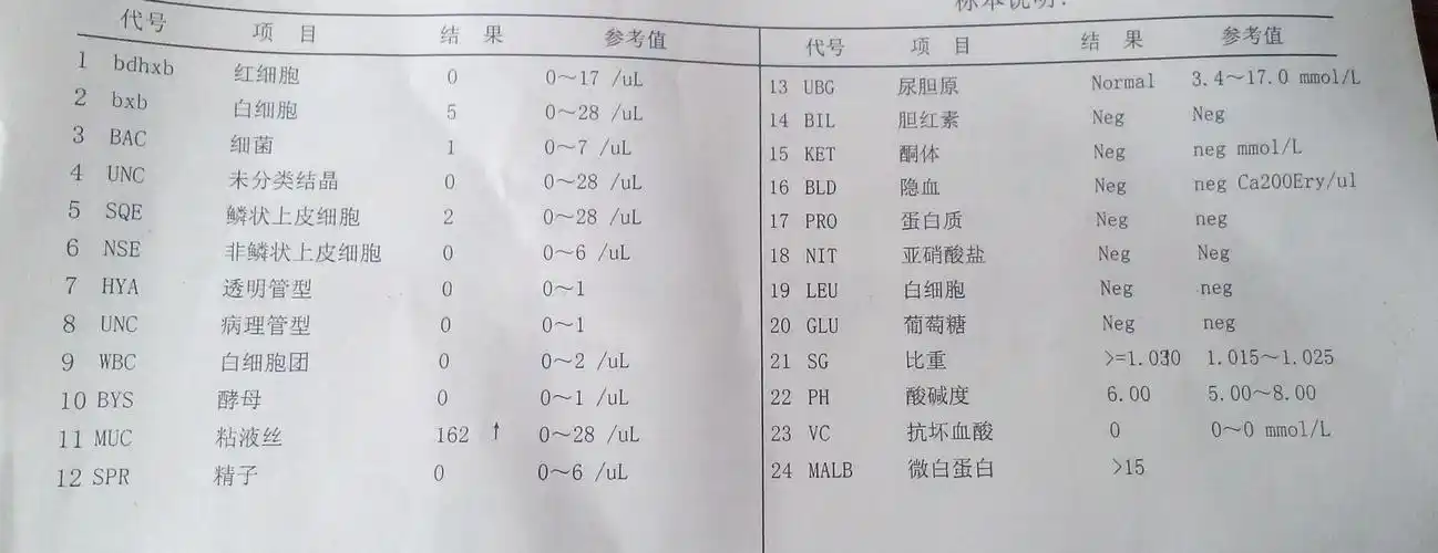今天去医院的体检单,刚去拿的时候医生不在,有没有懂得帮忙看下有没有