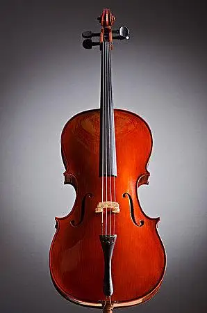 中提琴图片_全景网