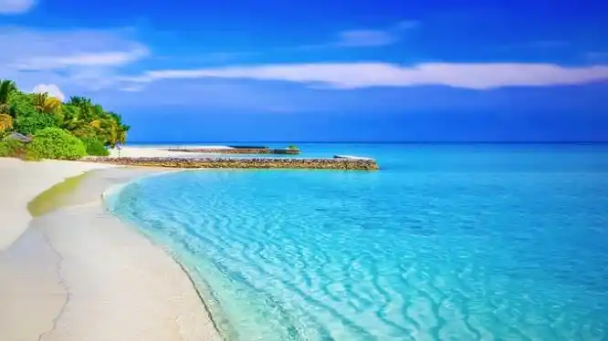 很多人知道天空是蓝色的,但你知道大海为什么是蓝色的吗?