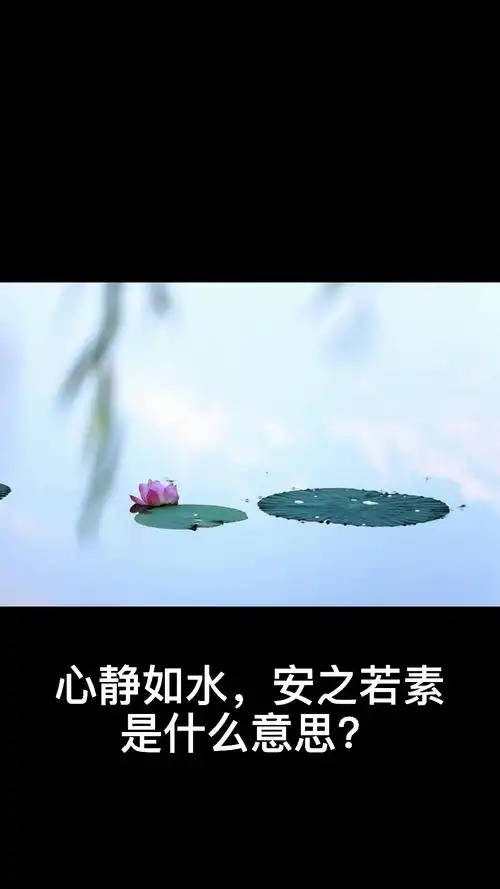 心静如水,安之若素是什么意思