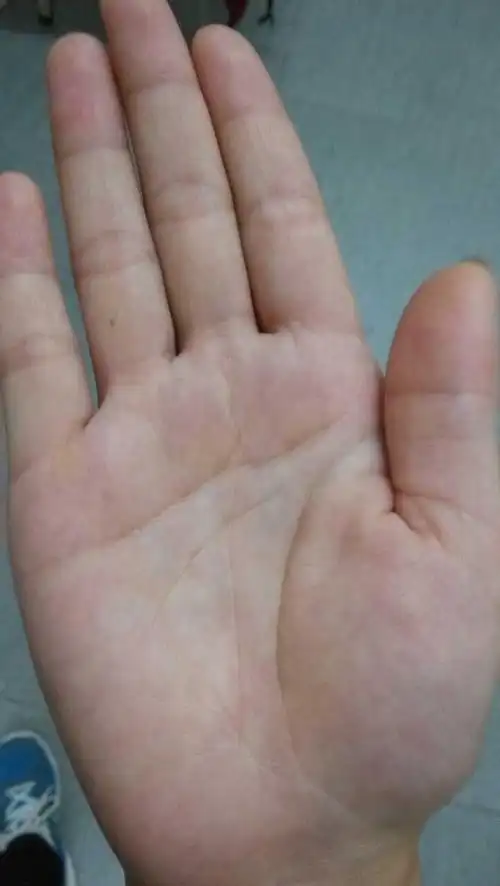 请大家帮忙看下这个手相,女性