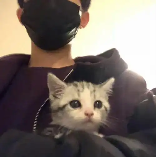 易烊千玺壁纸#ins风头像大户易烊千玺