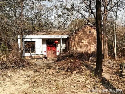 朋友圈晒了一组农村老家图,城里女友看到不淡定了