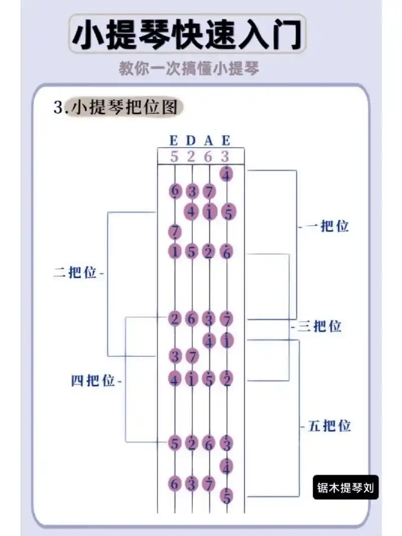 一次读懂小提琴 如图,部位名称,把位对应音名,四根线对应五线谱 有