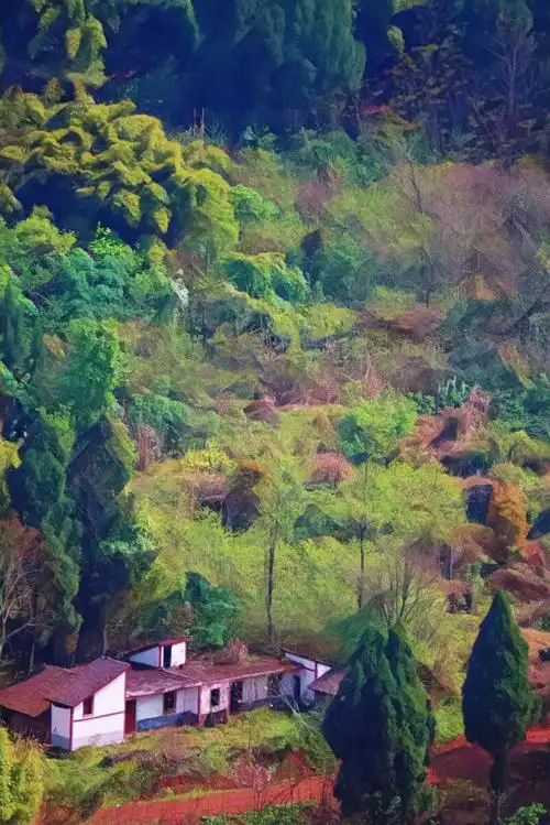 山里人家夏如春摄