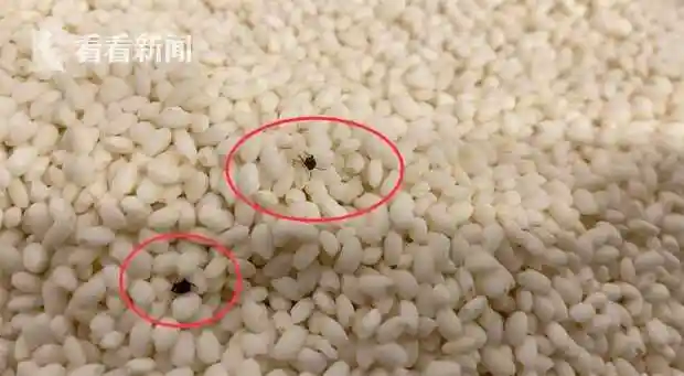 知名超市散装杂粮爬满小虫 顾客都吓一跳|永辉超市|大米|施先生|虫子