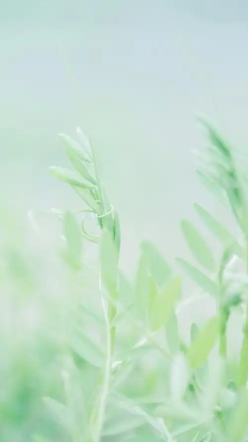 绿色小清新唯美图片,自然风景-可爱美图