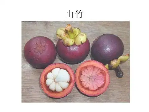 水果名称图片收集ppt