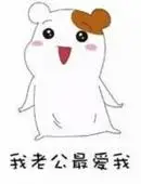 我老公最爱我了表情包图片大全