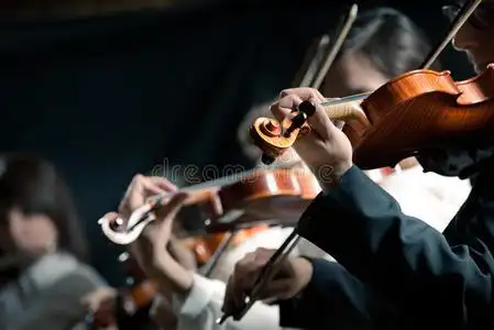 小提琴的歌图片