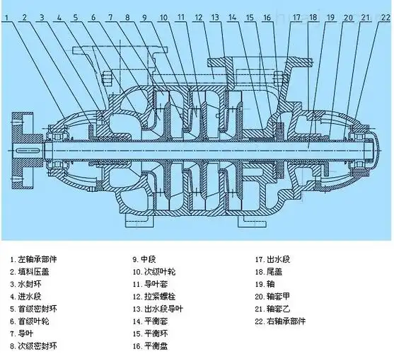 d型多级离心泵 结构图.jpg