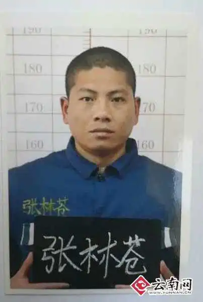 云南第一监狱一毒贩强行驾车冲破监狱隔离网越狱