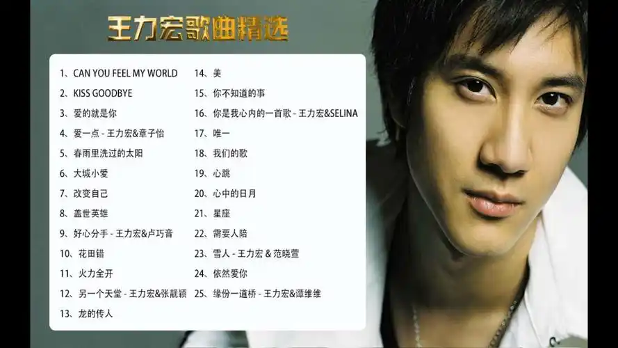 王力宏歌曲精选
