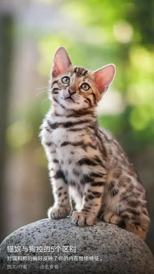 美丽的动物世界!