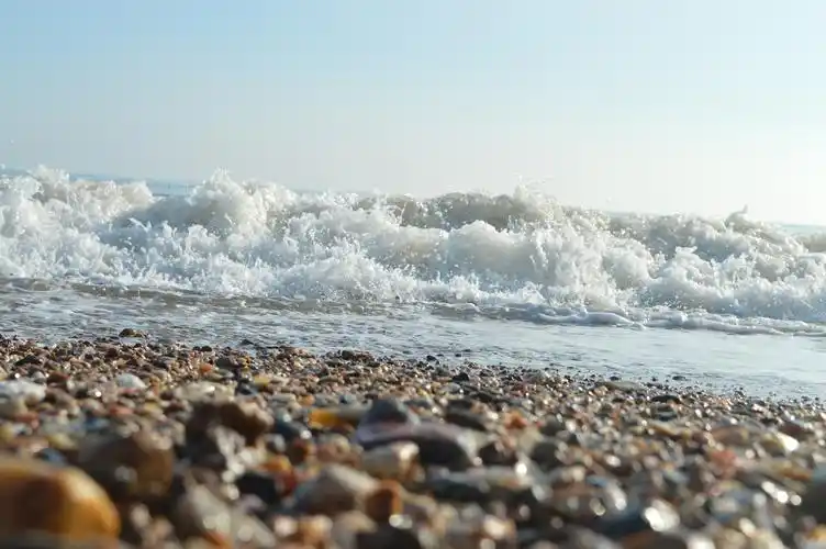 海 海浪 海滩 贝壳 摄影贝壳 沙滩 清晨海滩