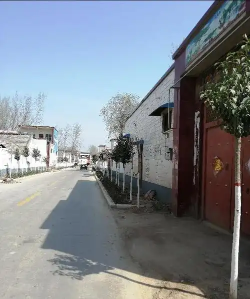 对于现在的农村你整体上有哪些印象有什么看法吗