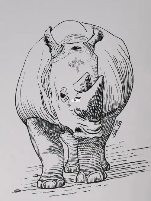 26100可爱的犀牛07